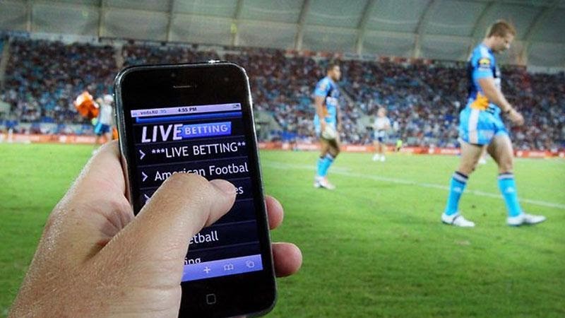 cá cược bóng đá trên điện thoại